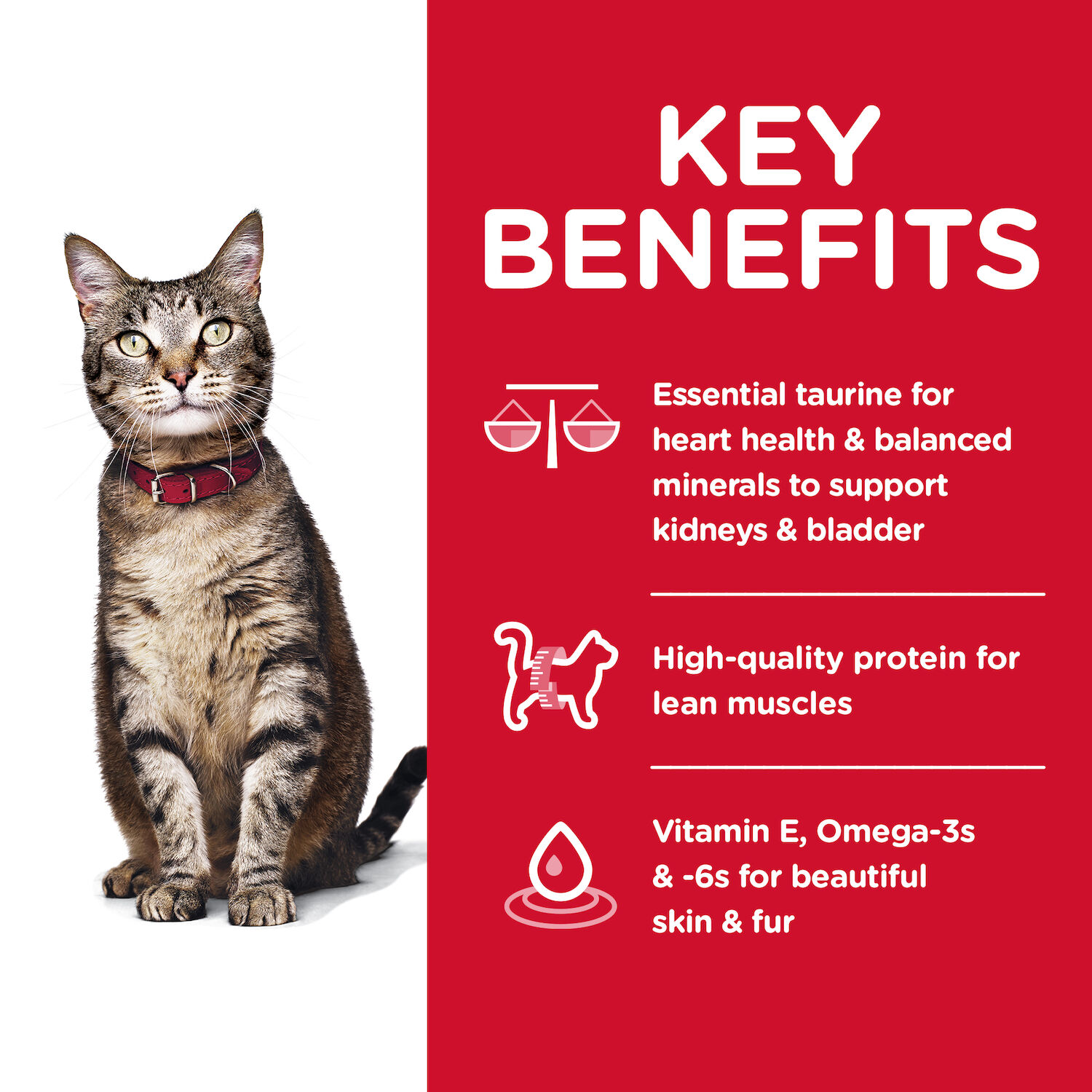 Hill's Science Diet Adult Chicken Recipe Dry Cat Food, 7-Lb Bag