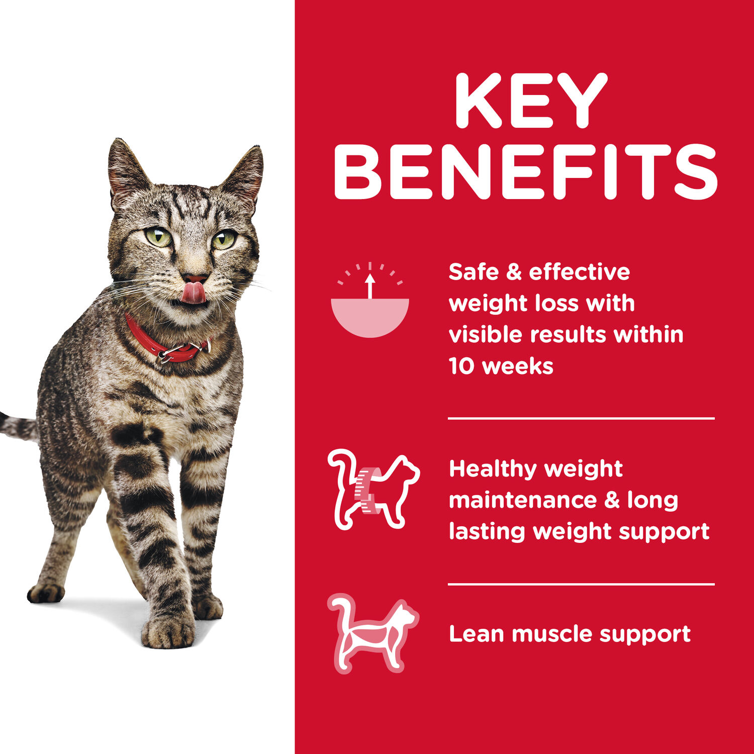 Perfect Weight Feline Dry, 3-lb bag Dry Cat Food
