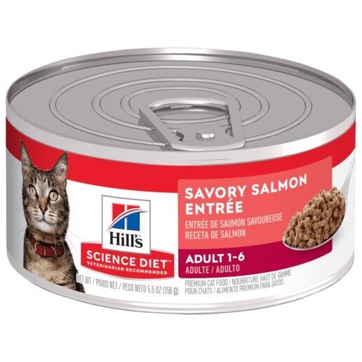5.5oz Salmon Feline Adult Can Wet Cat Food