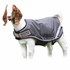 Goat Coat in Silver, X-Small