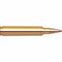300 Remington Ultra Mag 220 grain ELD-X® Precision Hunter®
