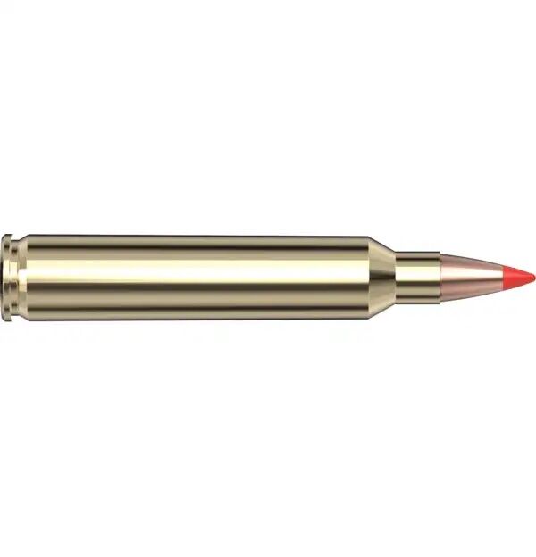 Hornady Superformance Varmint .204 Ruger, 32 Grain V-Max Rifle Ammo, 20-Rd