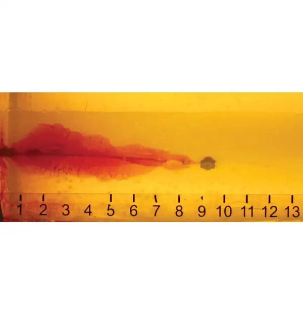 Hornady Critical Defense .44 Special, 165 Grain FTX Pistol Ammo, 20-Rd