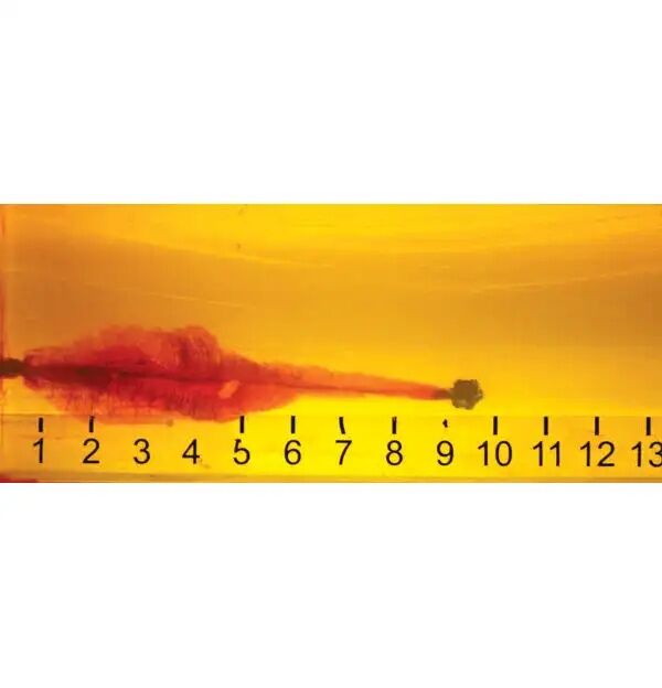 Hornady Critical Defense .44 Special, 165 Grain FTX Pistol Ammo, 20-Rd