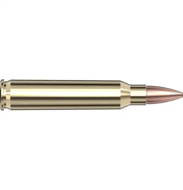 Hornady Frontier .223 Rem, 55 Grain Full Metal Jacket Rifle Ammo, 20-Rd