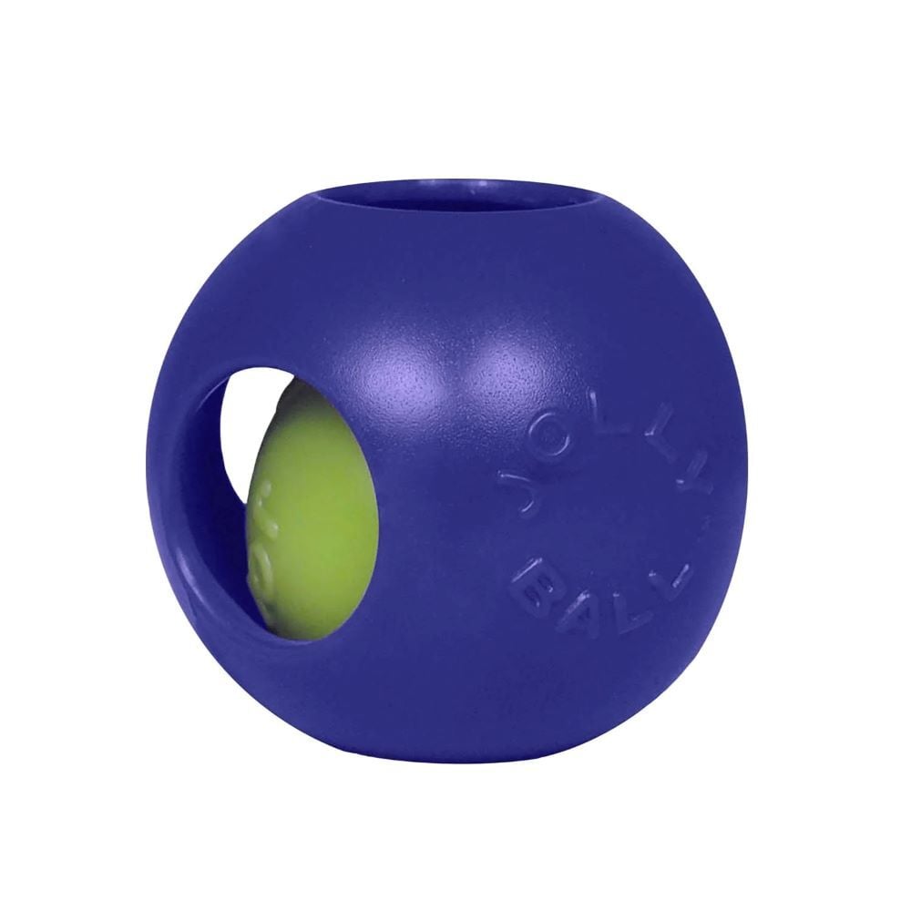 Jolly Pet Large Blue Teaser Ball Dog Toy, 8-In