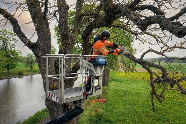 X-Cut S93G Chainsaw Chain Semi-Chisel, 3/8" Mini Pitch, .050 Gauge