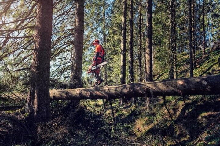 Husqvarna 572 XP 24 in. Gas Chainsaw