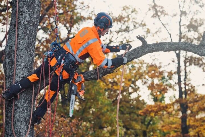 Husqvarna T535i XP 12 in. Battery Powered Chainsaw (Tool Only)