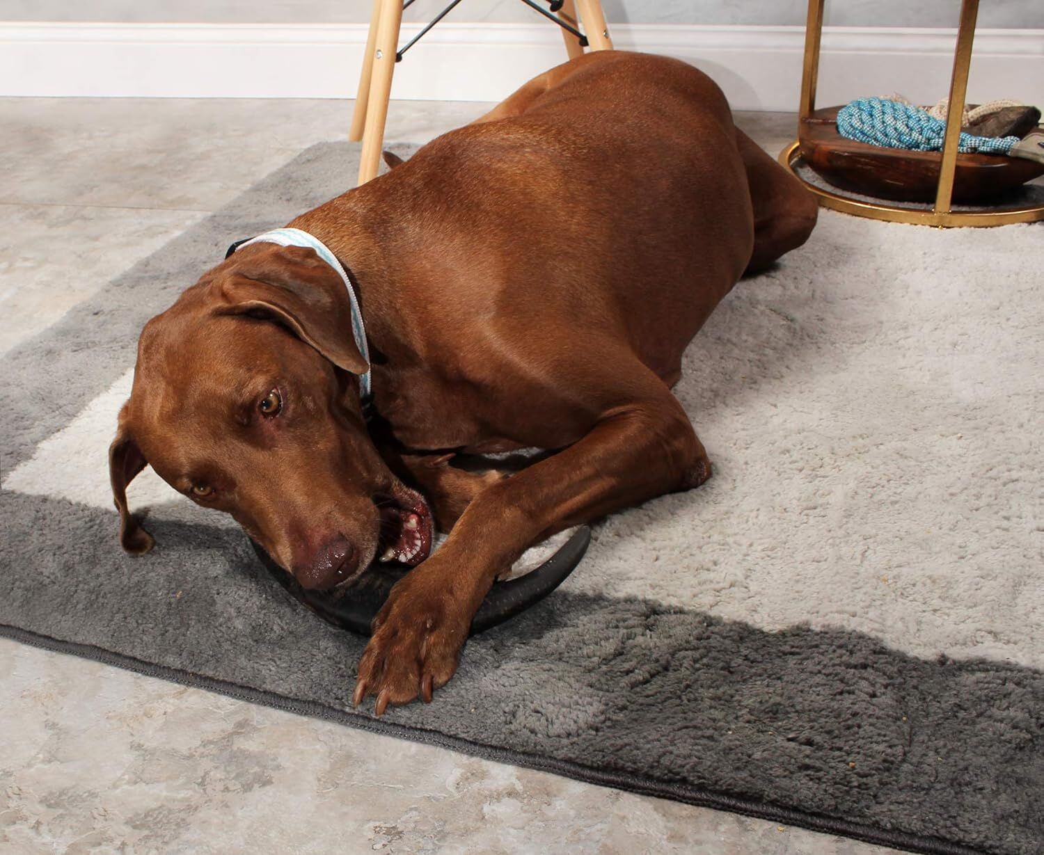 Outback Jack Natural Water Buffalo Bully Horn Dog Treats, Large