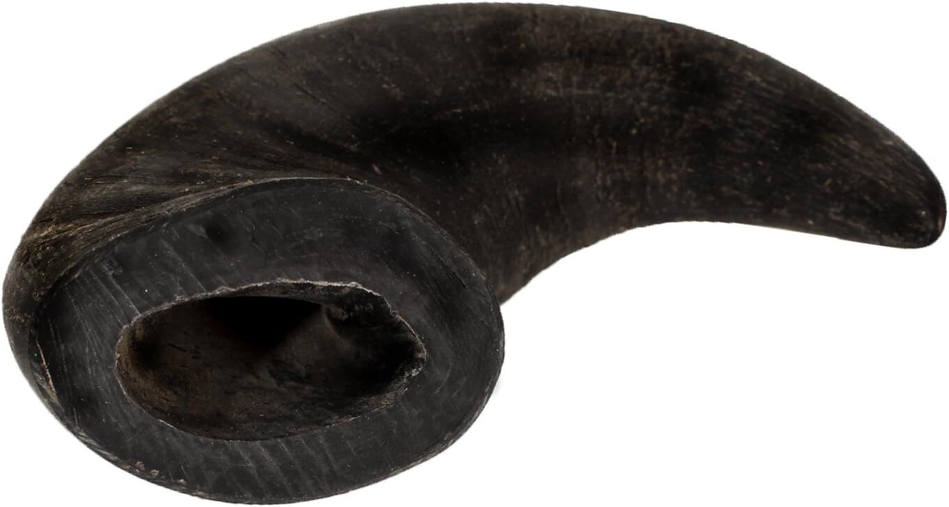 Outback Jack Natural Water Buffalo Bully Horn Dog Treats, Large