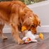 Fat Rooster Chew Guard Squeaky Plush Dog Toy, White, Large