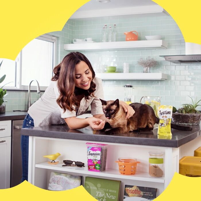 Temptations MixUps Backyard Cookout™ Chicken, Liver, And Beef Flavor Cat Treat, 3-Oz