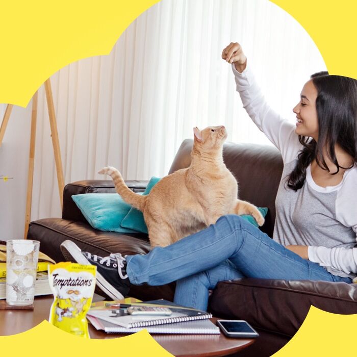 Temptations Creamy Dairy Flavor Cat Treat, 3-Oz