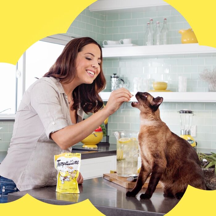 Temptations Savory Salmon Flavor Crunchy And Soft Cat Treats, 3-Oz