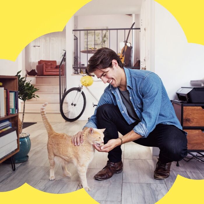 Temptations Tasty Chicken Flavor Crunchy And Soft Cat Treats, 30-Oz