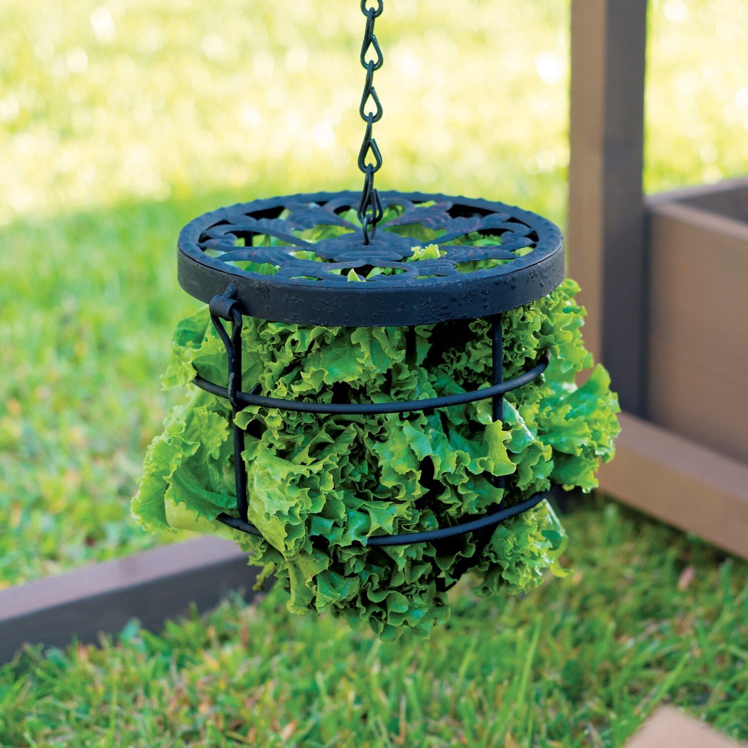 Coops & Feathers Wire Treat Basket 4"