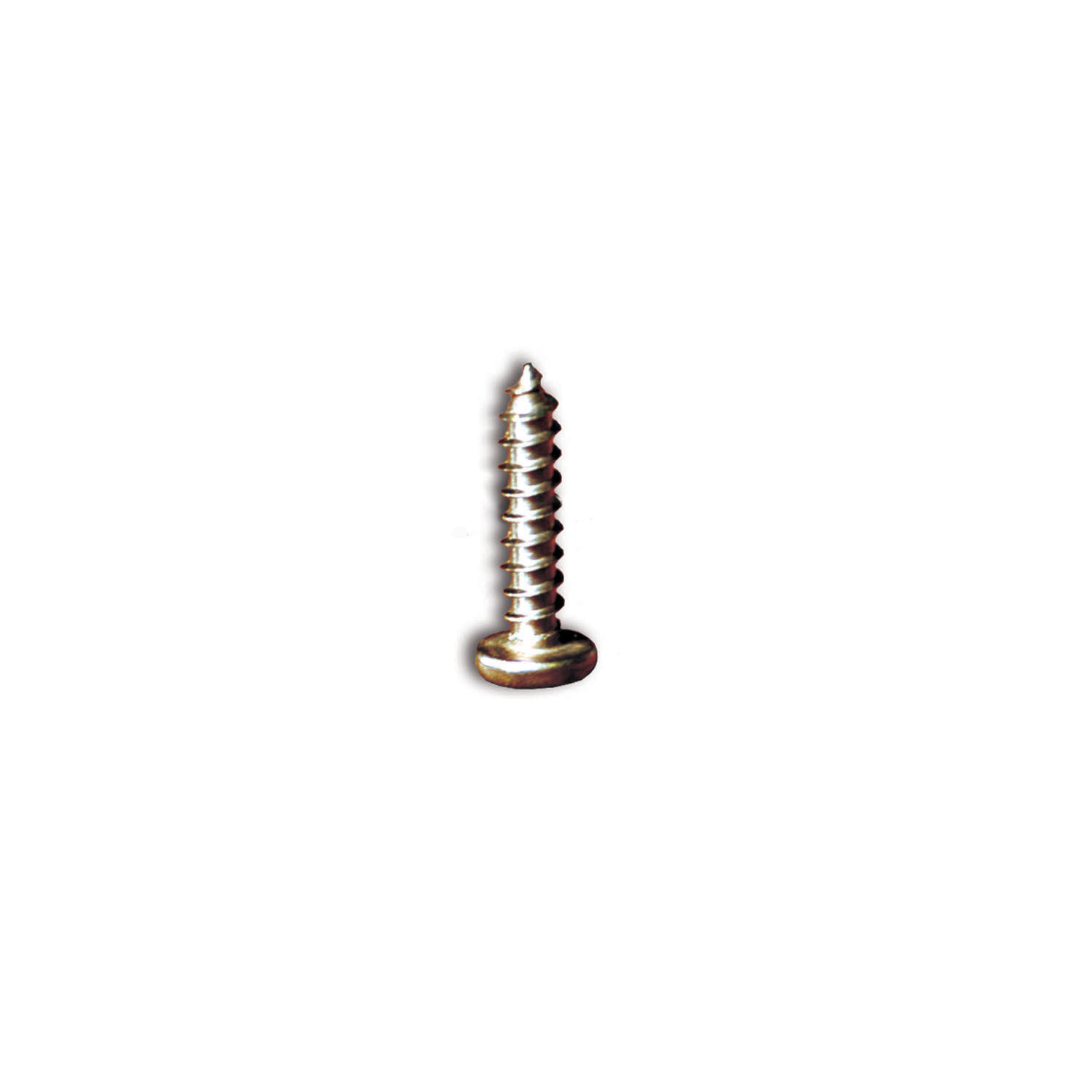 Stainless-Steel Screws