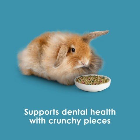 Kaytee Forti-Diet Pro Health Nourish+Protect Adult Rabbit Food, 5-Lb