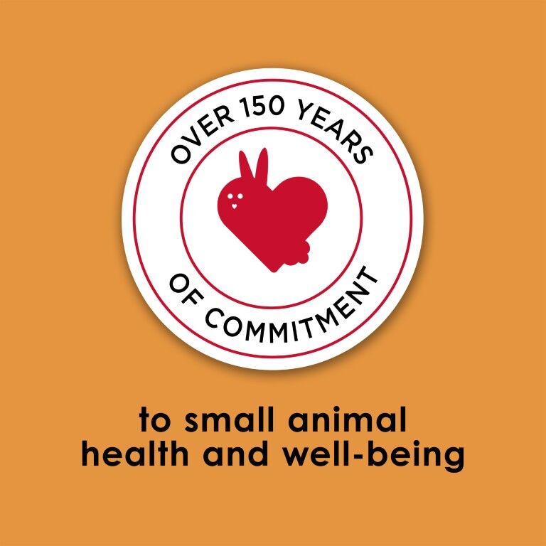 Kaytee Fiesta Rabbit Food, 6.5-Lb