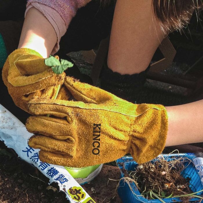 Kinco Kids' Suede Cowhide Driver in Golden