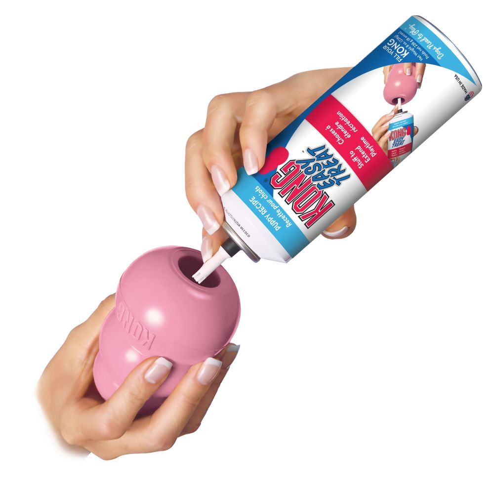 KONG Large Puppy Toy Assortment