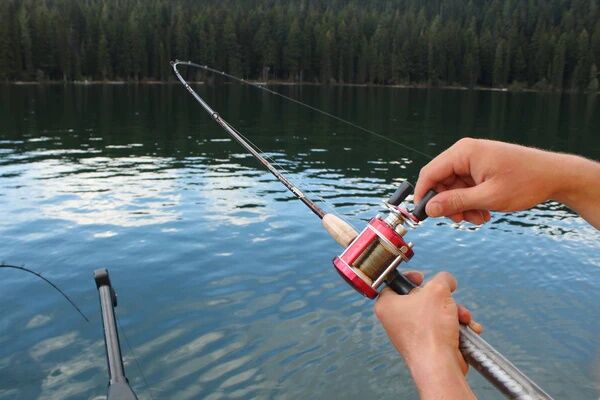 Lamiglas Red Trout & Kokanee Trolling Rod Ultra/Lt, 2-Piece, 7 1/2-Ft