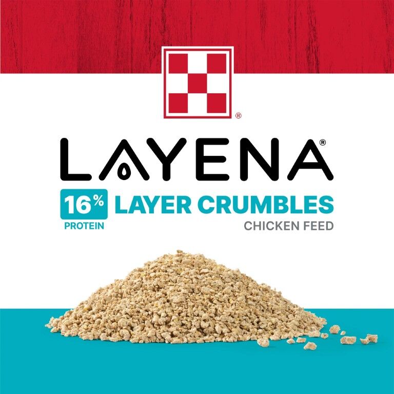 Purina Layena Crumbles 16% Layer Hen Feed, 10-Lb