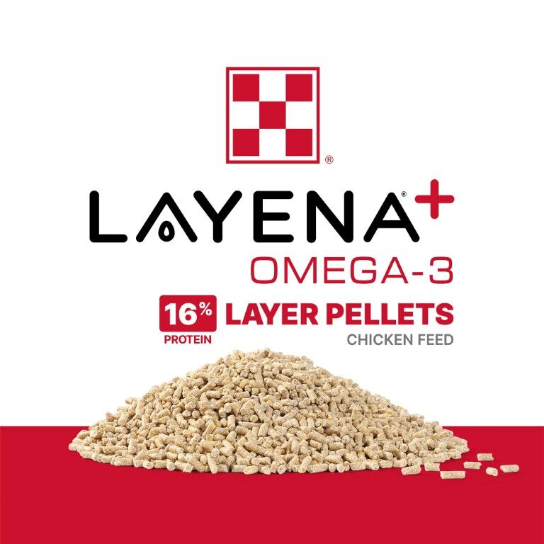 Purina Layena + Omega-3 16% Layer Hen Feed, 10-Lb