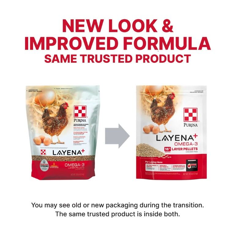 Purina Layena + Omega-3 16% Layer Hen Feed, 10-Lb