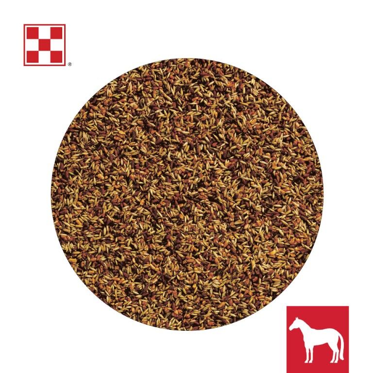 Purina Omolene 200 Performance Horse Feed, 50-Lb