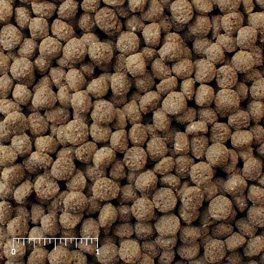 Mazuri Sea Duck Diet, 50-Lb