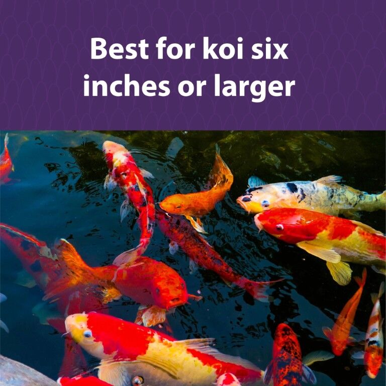 Mazuri Koi Pond Nuggets, 20-Lb