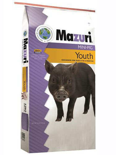 25lb Mazuri Youth Mini Pig 