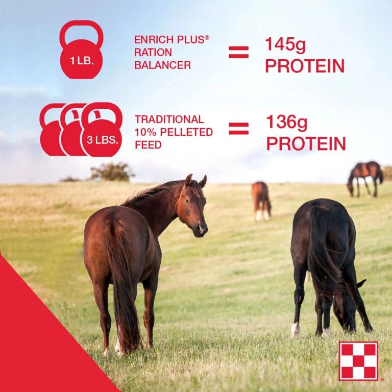 Purina Enrich Plus Ration Balancing Horse Feed, 50-Lb