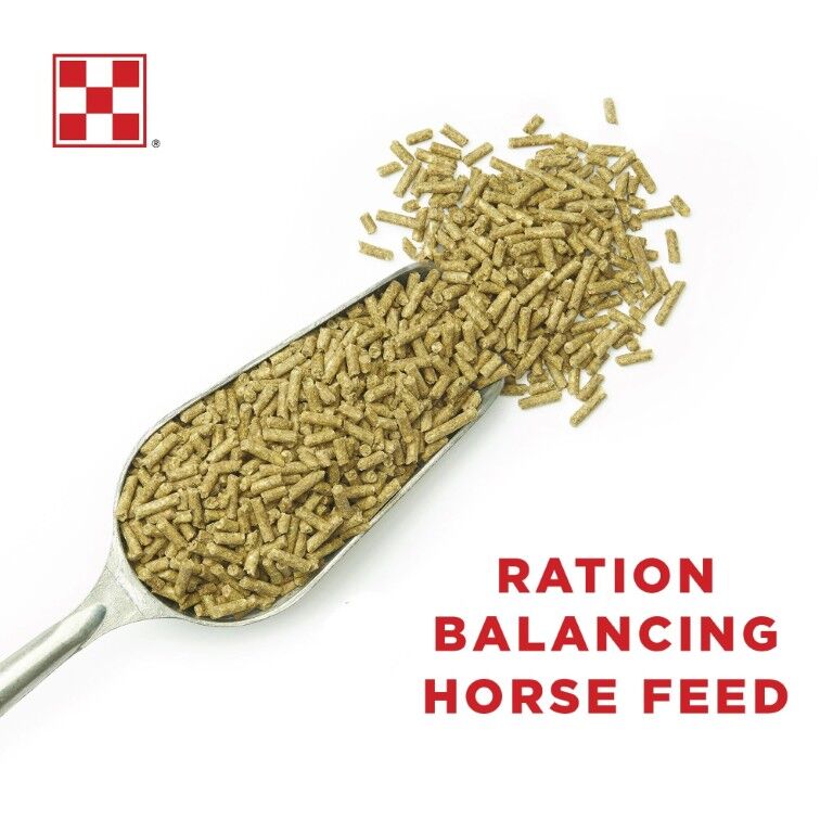 Purina Enrich Plus Ration Balancing Horse Feed, 50-Lb