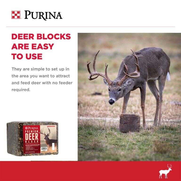 Purina Premium Deer Block, 20-Lb