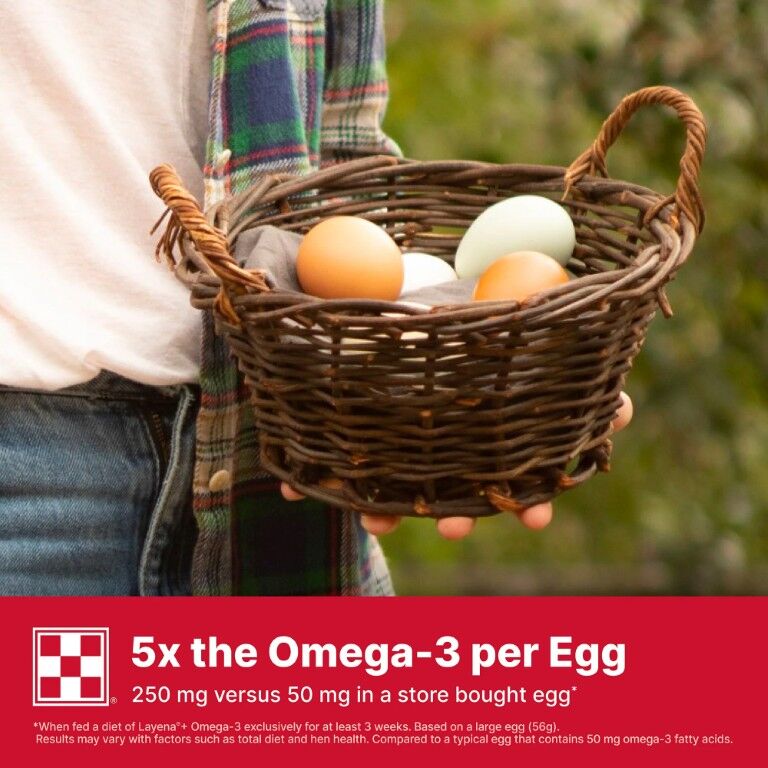 Purina Layena + Omega-3 16% Layer Hen Feed, 40-Lb