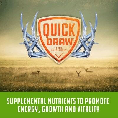 Purina Quickdraw Apple Deer Block, 20-Lb