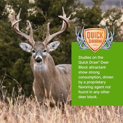 Purina Quickdraw Apple Deer Block, 20-Lb