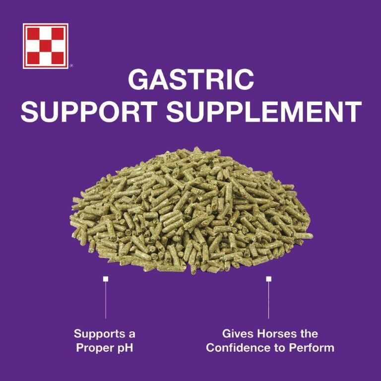 Purina Outlast Gastric Support Supplement, 40-Lb