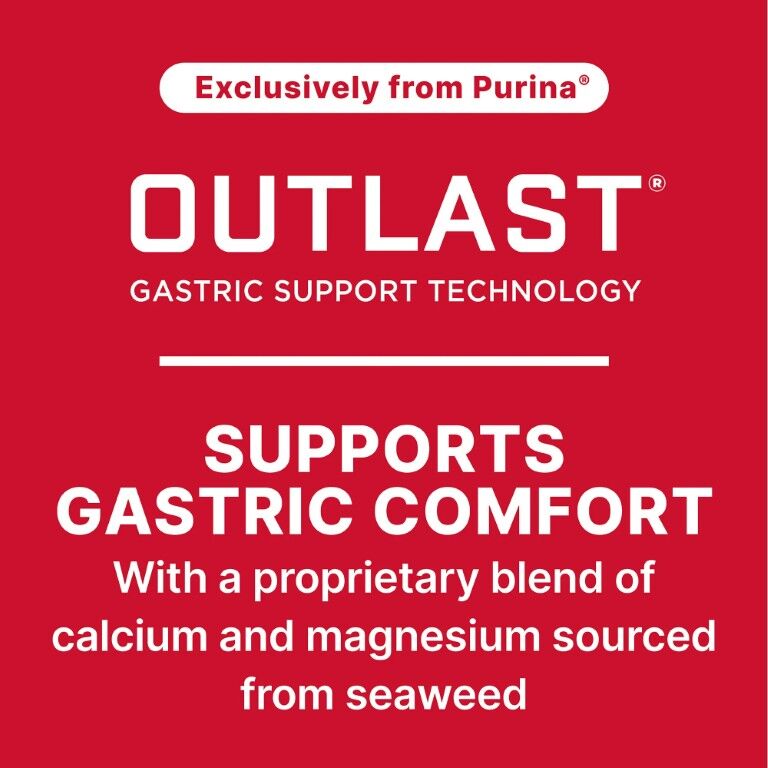 Purina Ultium Gastric Care Horse Feed, 50-Lb