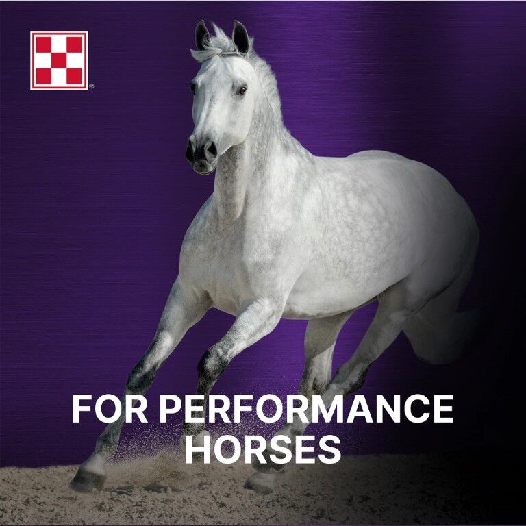 Purina Ultium Gastric Care Horse Feed, 50-Lb