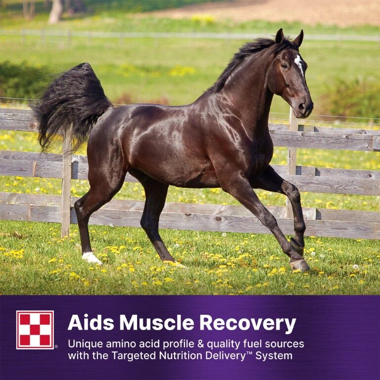 Purina Ultium Gastric Care Horse Feed, 50-Lb