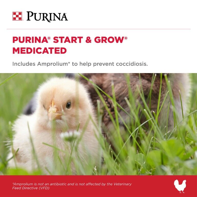 Purina Start & Grow Chick Feed Medicated, 25-Lb