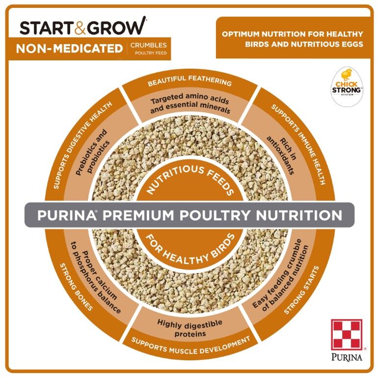 Purina Start & Grow Chick Feed Non-Medicated, 5-Lb