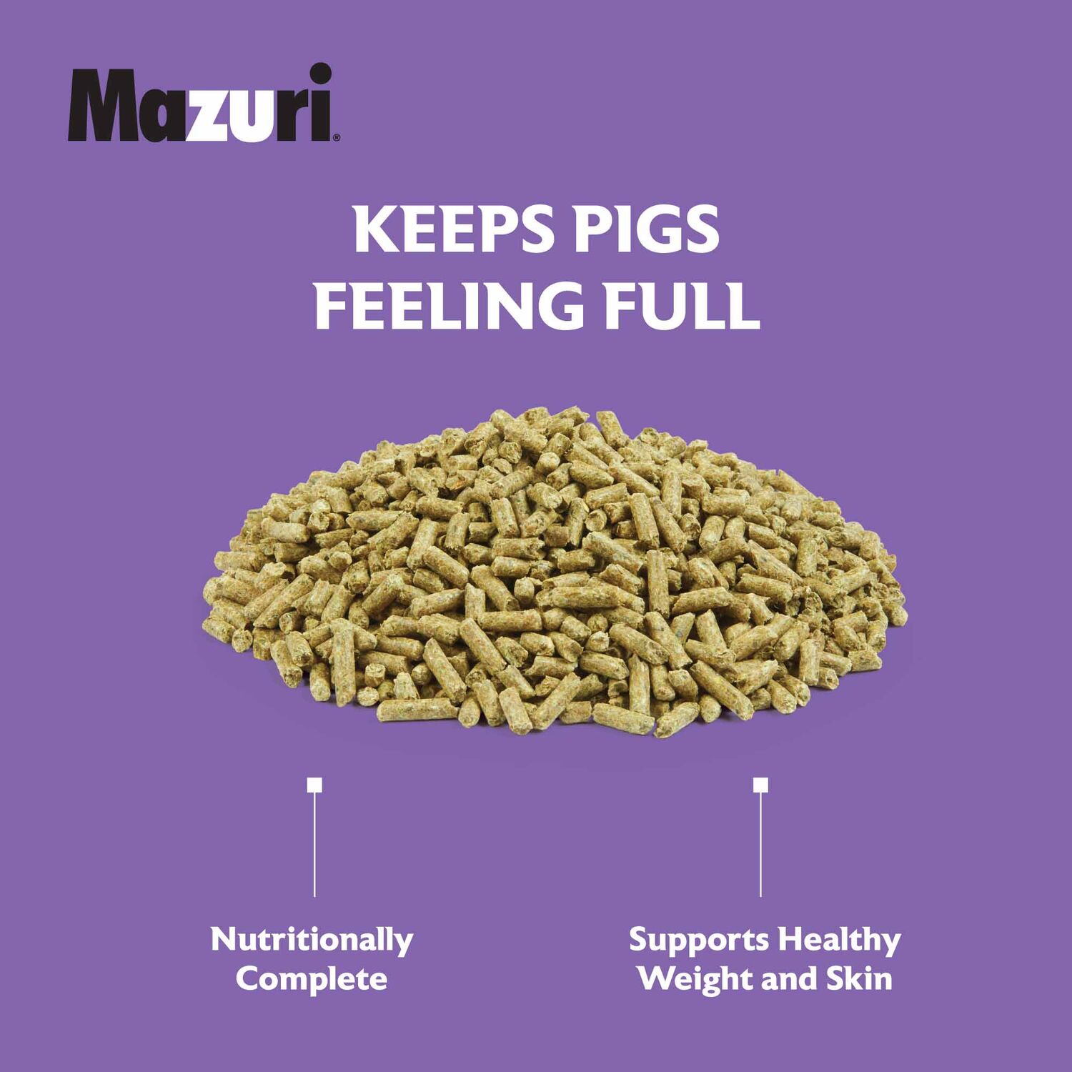Mazuri Mini Pig Mature Maintenance Feed, 25-Lb