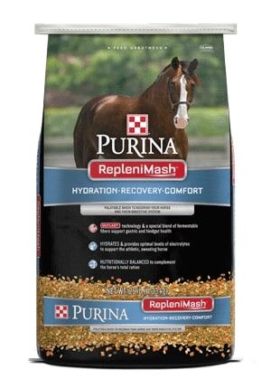 Purina RepleniMash Horse Mash, 25-Lb