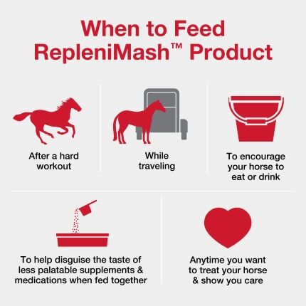 Purina RepleniMash Horse Mash, 7-Lb