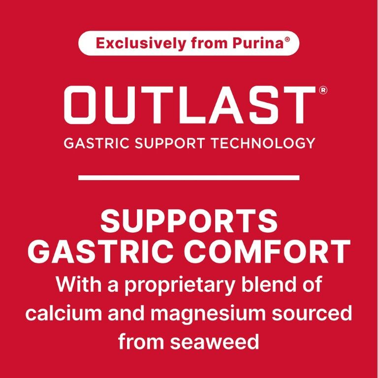 Purina Ultium Competition Horse Formula, 50-Lb